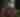 Daisy Field Farm | August 2025