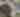 Deer Head Inn | Pocono Mountains