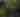 Magnolia Streamside Resort & Quantum Wellness Center | August 2025