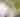 Lackawaxen River Trails | Pocono Mountains