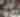 PTN Live Replay: St. Patrick's Day Parade 2025