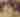 Pocono Showcase with the Hannah Noel Band | May 2026