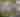 PTN Live Replay | Carbon County Fair