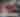 Wayne County Fair 2025 - PTN