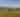 Mountain View Vineyard, Winery, Brewery & Distillery June 2025