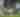 Weatherly Hillclimb Lovers | August 2025