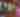 Hop on Wine Trolley with Bri & Dee | August 2025