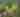 Woodloch Resort Golfing | August 2025