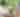 Couple at Pelee Island Pavilion