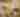 Fairmont Hotels & Resorts