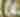 Saguaro Perspective Shot