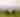 Bluemont Vineyard