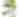 Autumn's Abundance, A Botanical Art Workshop and Demo with Susan Strong McDonald
