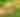 Bemis Farms Nursery