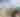 Texas Renaissance Festival Ticket Package