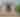 Lighthouse Immersive