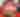 LEGO® F1® - themed ‘Build the Thrill Event’