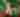 Bad Santa, Naughty Elf Party - 21+