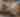SpringHill Suites by Marriott