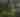 Michigan Wildlife Conservancy/Bengel Wildlife Center