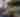 Cars & Coffee — Newport Craft Brewing & Distilling