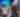 Free Summer Concert Series 2026