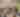 Michiana VegFest 2025