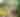 Jacksonville Zoo and Botanical Gardens
