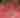 2015 8-15 Watermelon Festival (401)_1.JPG