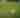 Players to Watch at the US Senior Open 2026