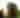 Wilstem Wildlife Encounters | French Lick Summer 2025