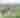 End of Summer Header