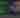Austin FC Image
