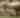 1818 Farms