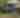 2025 Summer Nights Concert Series