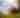 McClure's Orchard/Winery