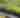 Perennial Plant Swap