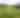 THE CJ CUP Byron Nelson