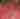 2015 8-15 Watermelon Festival (401)_1.JPG