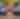 Apple Festival Parking_(800x600)