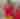 cinco-de-mayo-2015-4