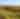 Medicine Lodge Landscape