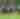 Middleburg Horse Races