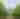 Early Mountain Vineyards