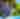 Busch Gardens® Halloween Spooktacular