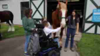 child in wheelchair petting horse