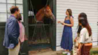 Horse Farm Tours