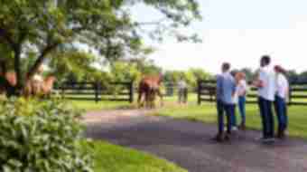 A group of people standing together watch horses being led into a fenced pasture.