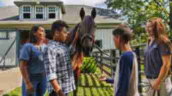 Kids interacting with a horse