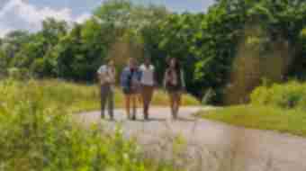 Walking
